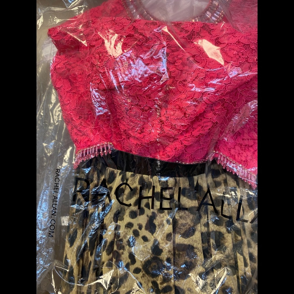 Rachel Allan Pink and Leopard Print Prom Dress - Picture 5 of 6